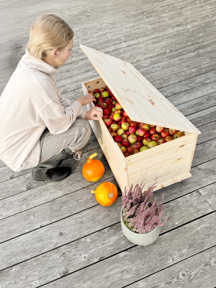 Une jeune femme plonge la main dans un coffre Air ouvert en pin clair non traité, rempli de pommes rouges et vertes, posé sur une terrasse en bois avec des citrouilles et une plante à proximité.